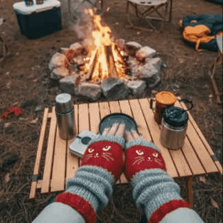 🔥Black Friday Sale Is On Fire!❄️Women’s Knitted Fingerless Gloves with Cute Cat – Cozy, Stylish & Practical Winter Hand Warmers 🐾