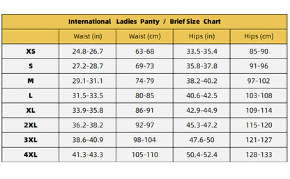 NESLEMY™ 100%Leak-Proof Underwear 4-pack