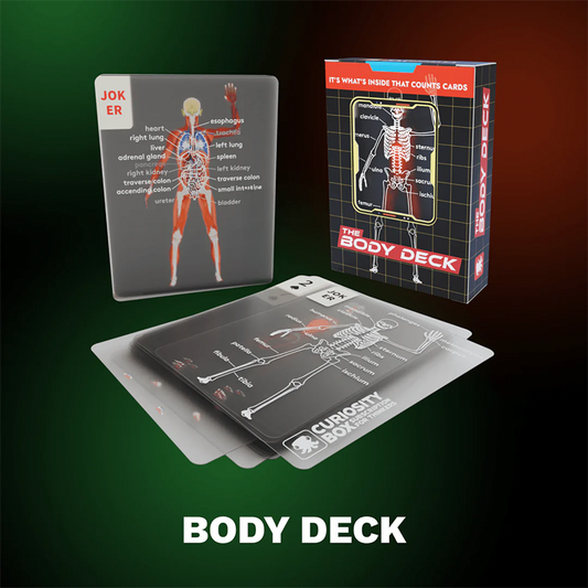 🔥Black Friday Sale Is On Fire！ The Body Deck - Human Skeleton Playing Cards