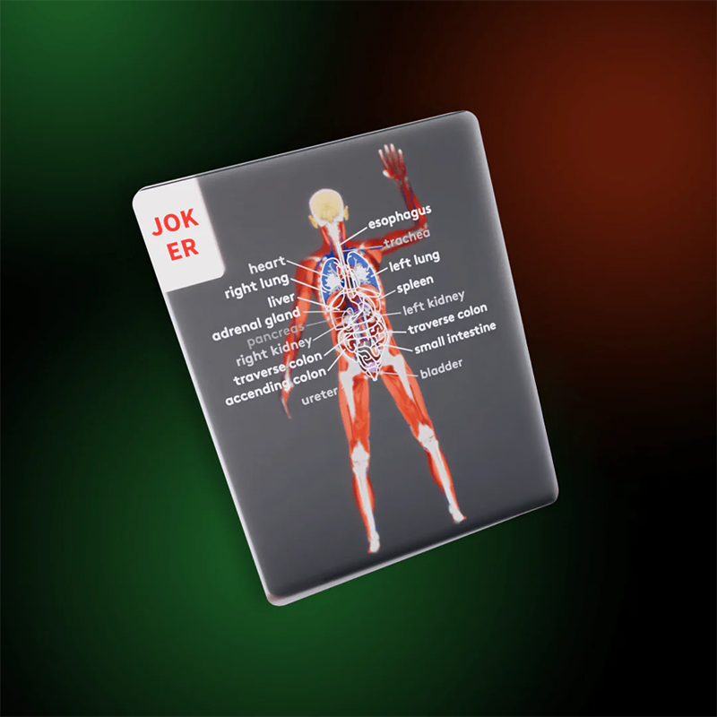 🔥Black Friday Sale Is On Fire！ The Body Deck - Human Skeleton Playing Cards