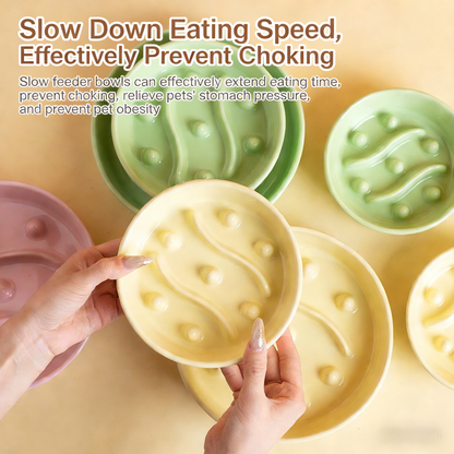 🐾Vet-Recommended Slow Feeder – Ceramic Pet Bowl with Digestive Health Design & Scratch-Proof Base💝