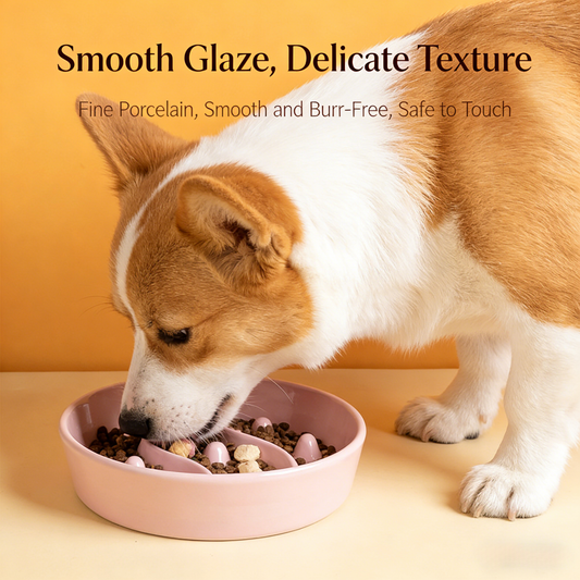 🐾Vet-Recommended Slow Feeder – Ceramic Pet Bowl with Digestive Health Design & Scratch-Proof Base💝