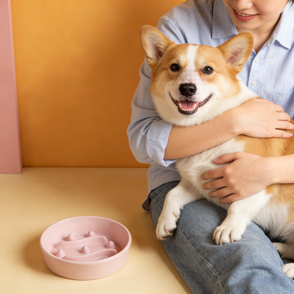 🐾Vet-Recommended Slow Feeder – Ceramic Pet Bowl with Digestive Health Design & Scratch-Proof Base💝